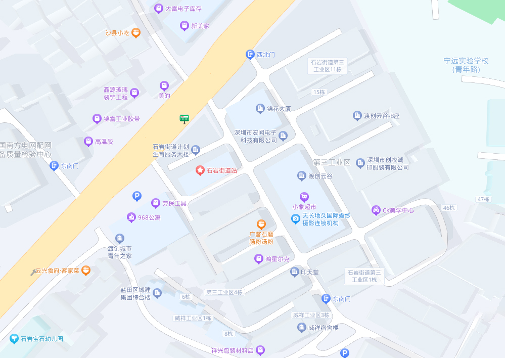 599995精准一肖